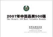 2007年中国品牌500强