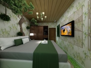主卧室电视背景墙，配上实木大衣柜，实木棚顶，别样的生活空间