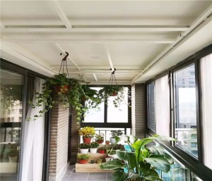 阳台顶面安装白色的挂杆，既可以挂盆栽，还可以挂衣服，挂杆可以移动，衣服多时可以移到两边，也许，我们家