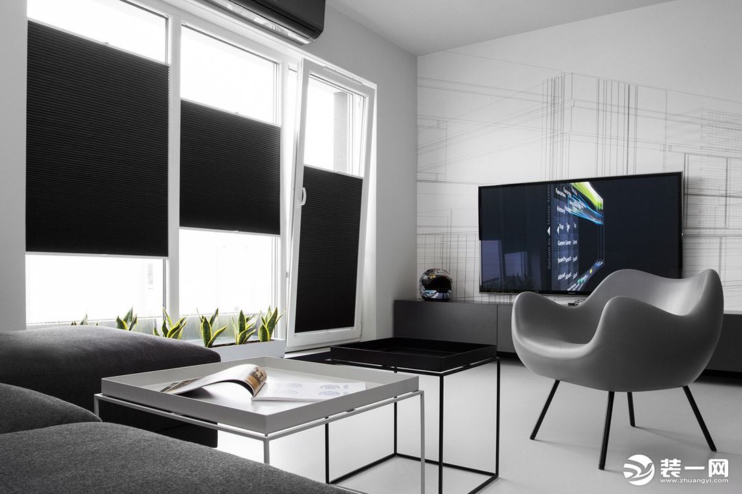 客厅以黑白色调搭配，简约的家装搭配，电视背景墙上的线条设计体现风格特点，窗户旁一排的芦荟，自然的活力