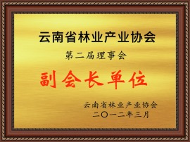 云南省林業產業協會副會長單位