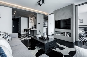 现代简约风格客厅，以黑白为主，简单时尚大方。