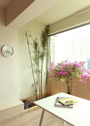 窗臺旁邊的植物空間，養些花草，算是生活的情調。
