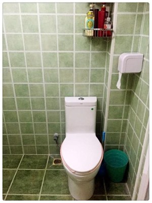 卫生间很小，马桶只能安装在侧面，淋浴区安装了浴帘。瓷砖都选的淡绿色的仿古砖，实际看着比照片要好看