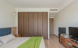 卧室的衣柜，是让木工做出墙体空间，单独定制折叠门后，里面放上架子来挂衣服
