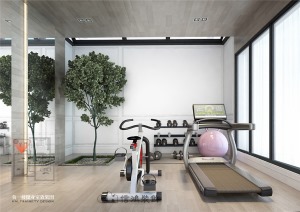 460平别墅现代风格健身房装修效果图