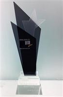 荣获2012年“中国家居品牌最具景气企业奖