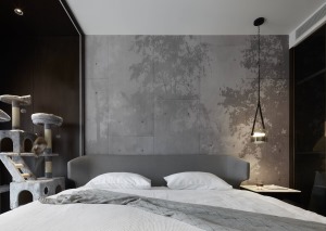 次卧以浅灰色为基础色，床头柜的吊灯，给空间增添光亮与浓浓的睡意。