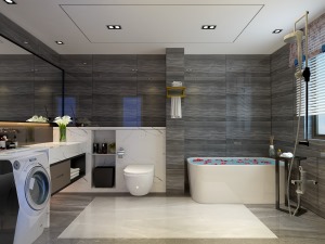 卫生间最关键在于大气 干净 深色墙砖 白色卫浴 功能又合理 足矣；