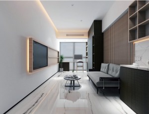 室内效果图 由于装潢简单、装饰元素少，现代风格家具需要完美的软装配合，营造空间美感。