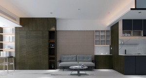 室内效果 由于装潢简单、装饰元素少，现代风格家具需要完美的软装配合，营造空间美感。