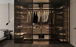 透明的衣柜不仅功能齐全，而且不显得凌乱，而且透明衣柜也增加了时尚感，使空间看起来更大。