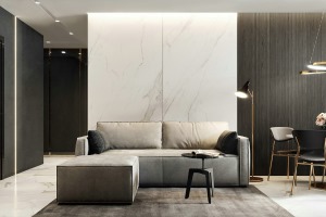 客厅沙发后的背景墙大片留白，却不显单调，分配上灰色的沙发，有一种低调的质感美。