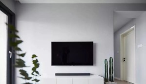 电视墙简单的留白，并搭配白色电视柜，仅以绿植做为点缀自然简约。