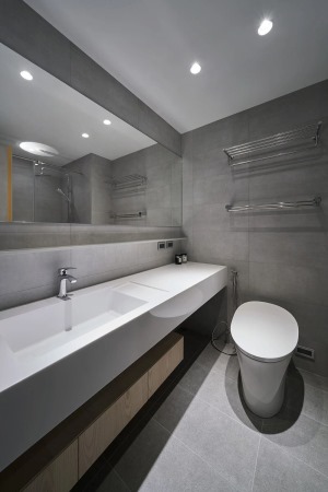  浴室因为只有一间，所以就希望能够大一点，整间浴室走灰色调没有太多复杂的设计，尤其是这一个超大的洗手