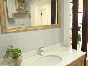 卫生间设计的相当不一样，将干区和洗浴区直接用门隔开，放大了功能性设计的实用性需求。