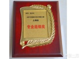 2007中国室内明星大奖上海区铜奖