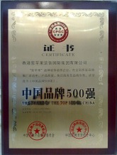 中国品牌500强-成都紫苹果装饰
