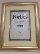 2013年福布斯中国最具潜力企业-唯一国内装修企业.JPG