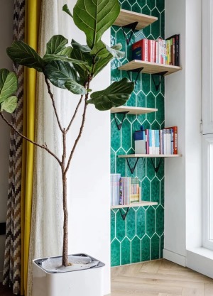 3落地窗一侧是阅读角，它的墙面由摩洛哥绿的手工砖铺成，和造型优美的琴叶榕一起，散发出别样的异域气息。