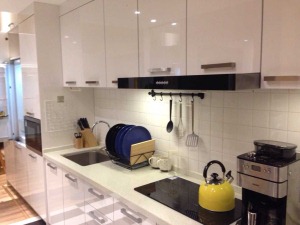 40平 一居室 造价8万 现代风格厨房-按照人的活动动线设计的厨房（拿-洗-切-炒）