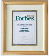 “2013福布斯中国潜力企业”