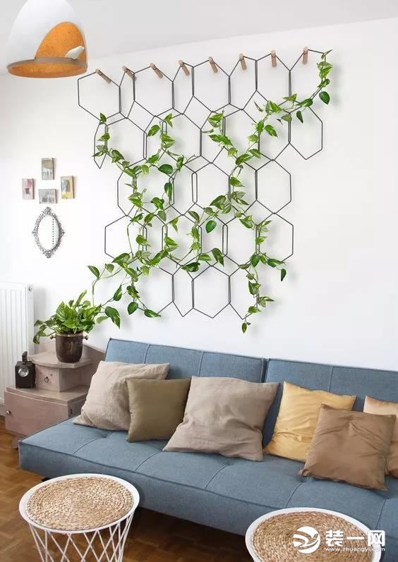【圣都装饰】被挂起来的绿植，你家墙可以很美！
