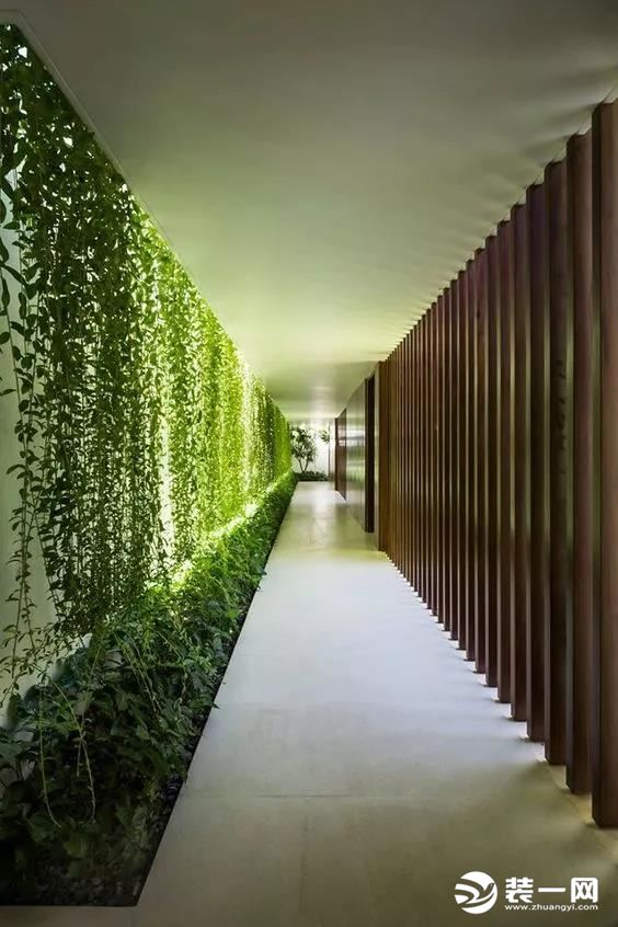 【圣都装饰】被挂起来的绿植，你家墙可以很美！