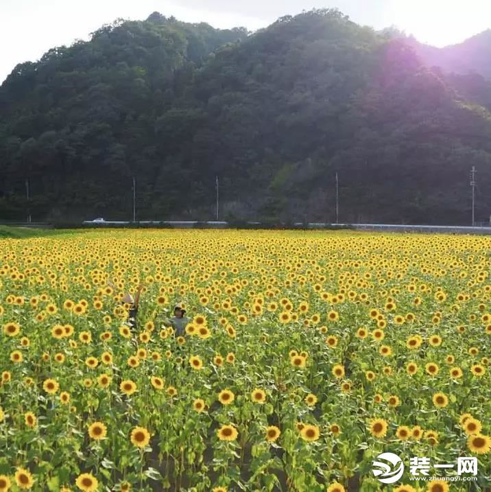 圣都裝飾 杭州裝修公司 裝修裝飾 杭州圣都裝飾公司