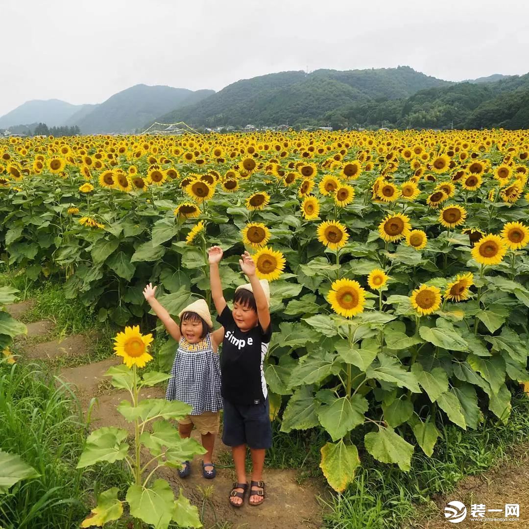 圣都裝飾 杭州裝修公司 裝修裝飾 杭州圣都裝飾公司