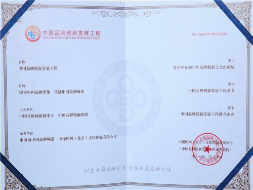 圣都裝飾榮獲“中國品牌創新發展工程”獎項；