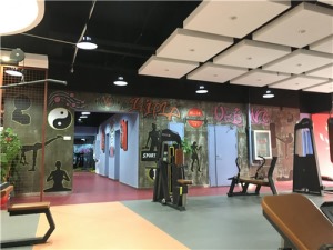 武汉南湖拉德芳斯班贝格健身房装修设计