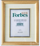 2013年，实创装饰被《福布斯》中文版评为“2013福布斯中国潜力企业”