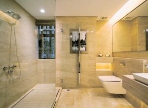衛生間-吊頂，浴缸，燈具