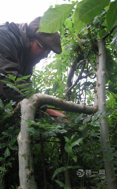 山水人家裝飾