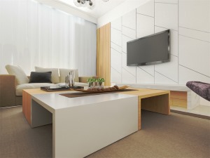 客廳作為待客區域，要穩重，用米黃色色地磚，使整體上寬敞