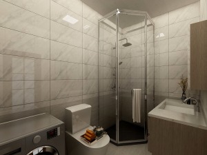 卫生间设计师特意做了淋浴房设计，技能把干湿区做一个分割，又能体现女主人的品味