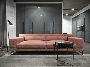 整体空间黑白灰三色的搭配，锈红色的绒面沙发在空间中展现不一样的时尚的感，时尚舒适的结合。
