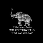 成都加拿大野象商业设计