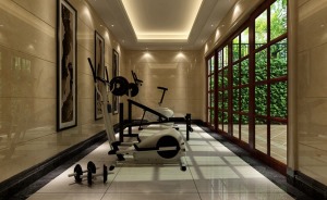中国铁建国际公馆320平别墅中式风格健身房效果图