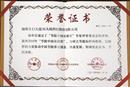 节能中国贡献奖-----地球卫士石头壁纸