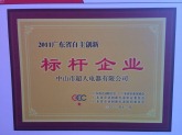 2011广东省自主创新标杆企业