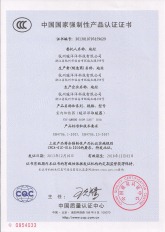 3C认证（中国第一家拿到的）