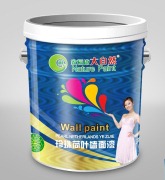 广东江门品牌家装新宠 大自然漆 油漆涂料海藻泥墙面漆批发代理