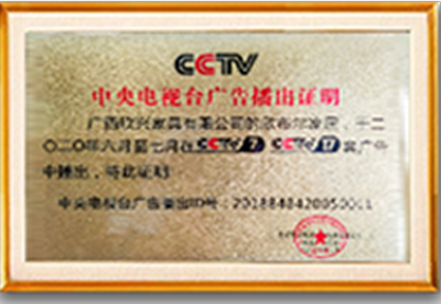 CCTV央视推广合作品牌