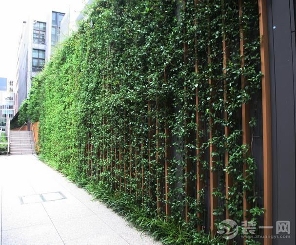 南京绿化墙