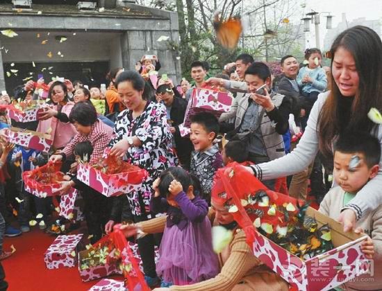 家居商场放飞蝴蝶