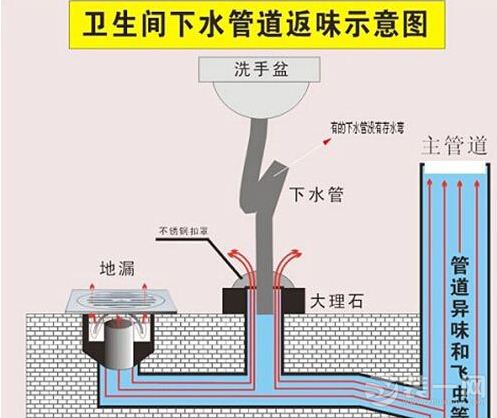 地漏安装步骤