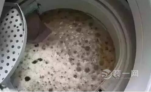 钦州装修网提醒：家中洗衣机再不清洗，小心得皮肤病！