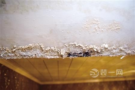 重庆一美容店漏水近一年 墙面发霉装潢被泡吓坏顾客